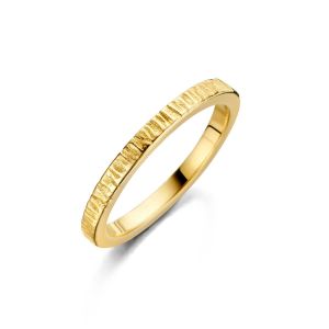 Spirit Icons - Canis Small ring i forgyldt sølv. Ringen har en detaljeret struktur, der skaber et stilrent udtryk, der både føles råt og raffineret. 53672.